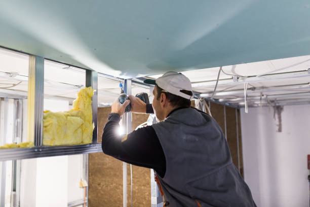 Best Insulation Contractors for Homes  in Somerville, MA