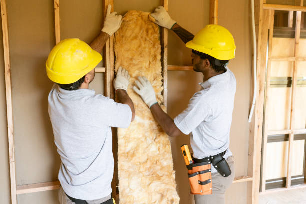 Best Wall Insulation Contractor  in Somerville, MA