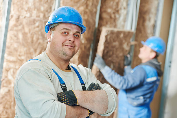 Best Attic Insulation Installation  in Somerville, MA