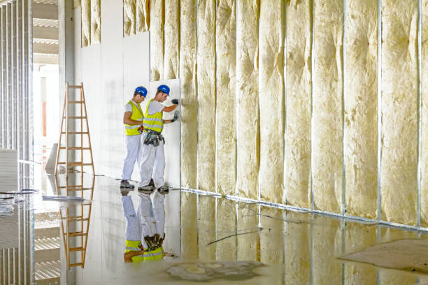 Best Insulation Replacement Services  in Somerville, MA